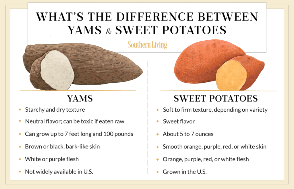 SLV Infographic Yams vs Sweet Potatoes Corinne Mucha 2 2ba34b1a7e5745f393b8f9704760161f